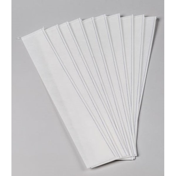 peperomia lemon lime