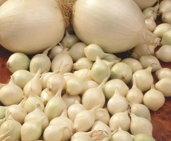 trowel with plastic sleeve