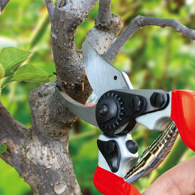 aquacraft® 330520 sodo genėjimo žirklės, kaltinės, su diržo dėklu aquacraft® 330520 sodo genėjimo žirklės, kaltinės, su diržo dėklu