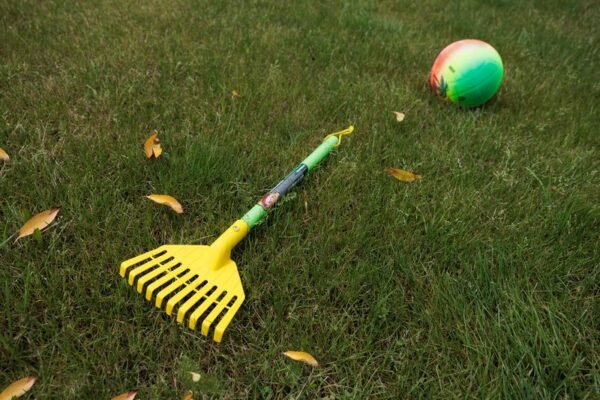 import placeholder for 5800