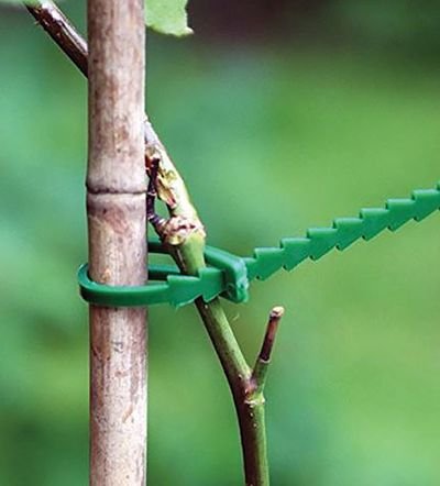 import placeholder for 4272