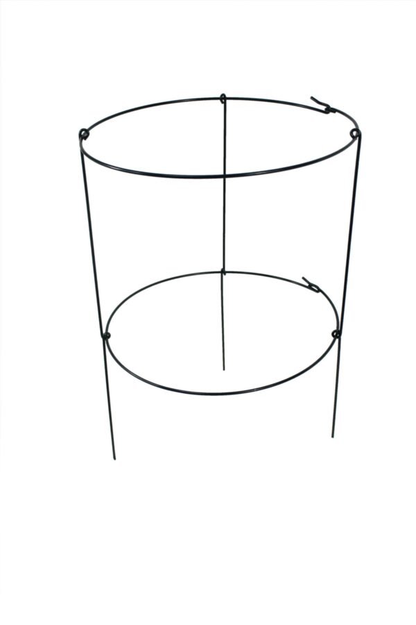 import placeholder for 6116