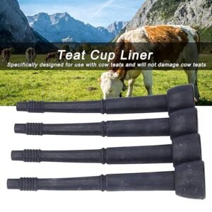 import placeholder for 3798