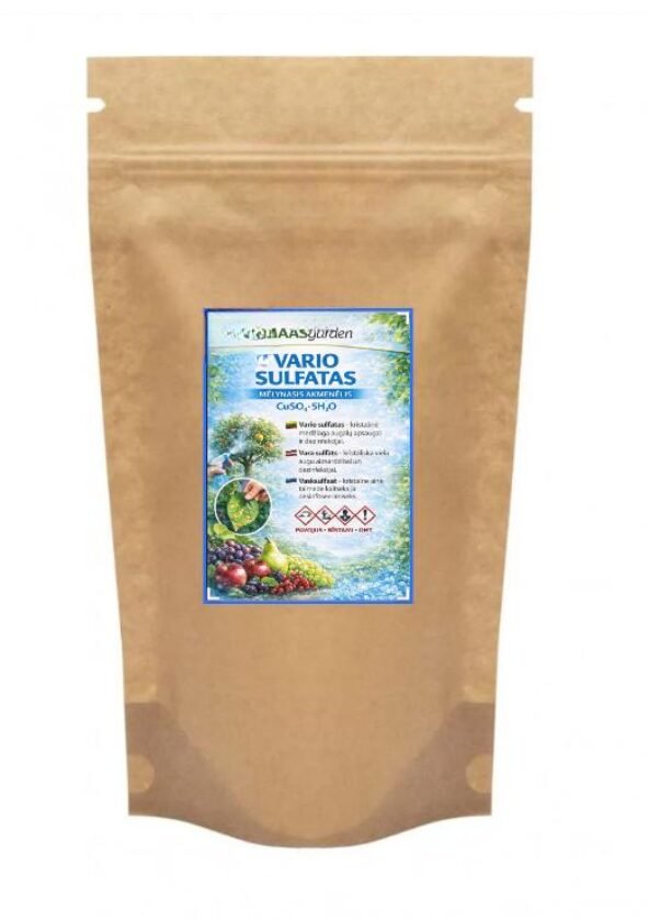 ekrano nuotrauka 2026 02 22 213818 ekrano nuotrauka 2026 02 22 213818