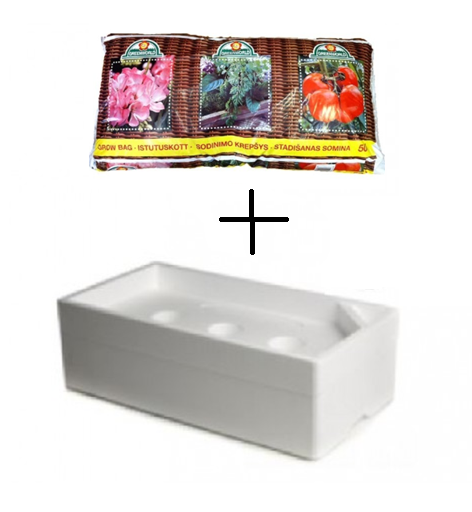 import placeholder for 6617