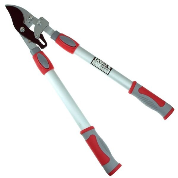 import placeholder for 5448