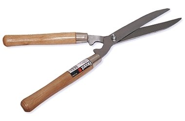 import placeholder for 5446