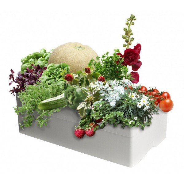 Laistymo dėžės ir priedai